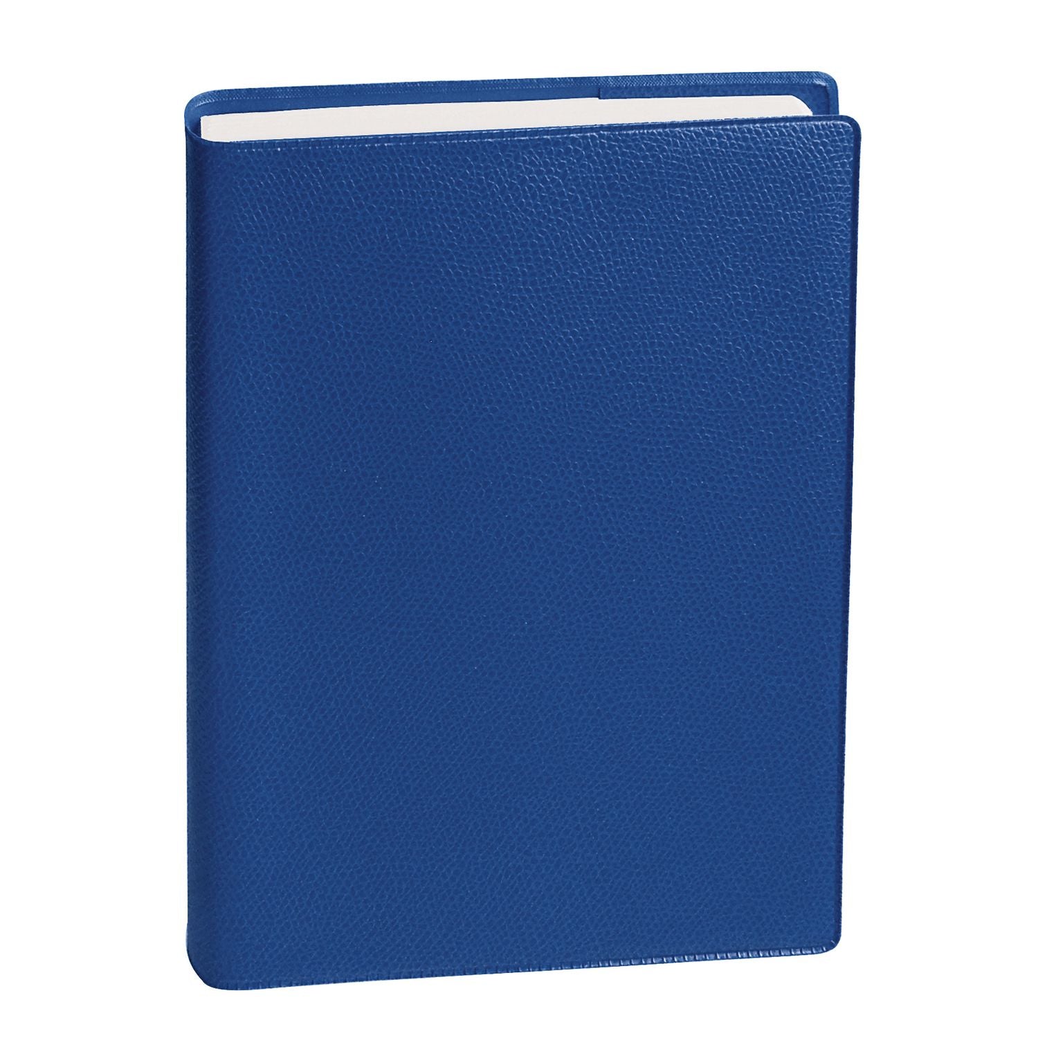 Agenda 2025 QUO VADIS ABP1 Impala - 1 jour par page - 13 x 21 cm - Bleu océan - 3371010481309