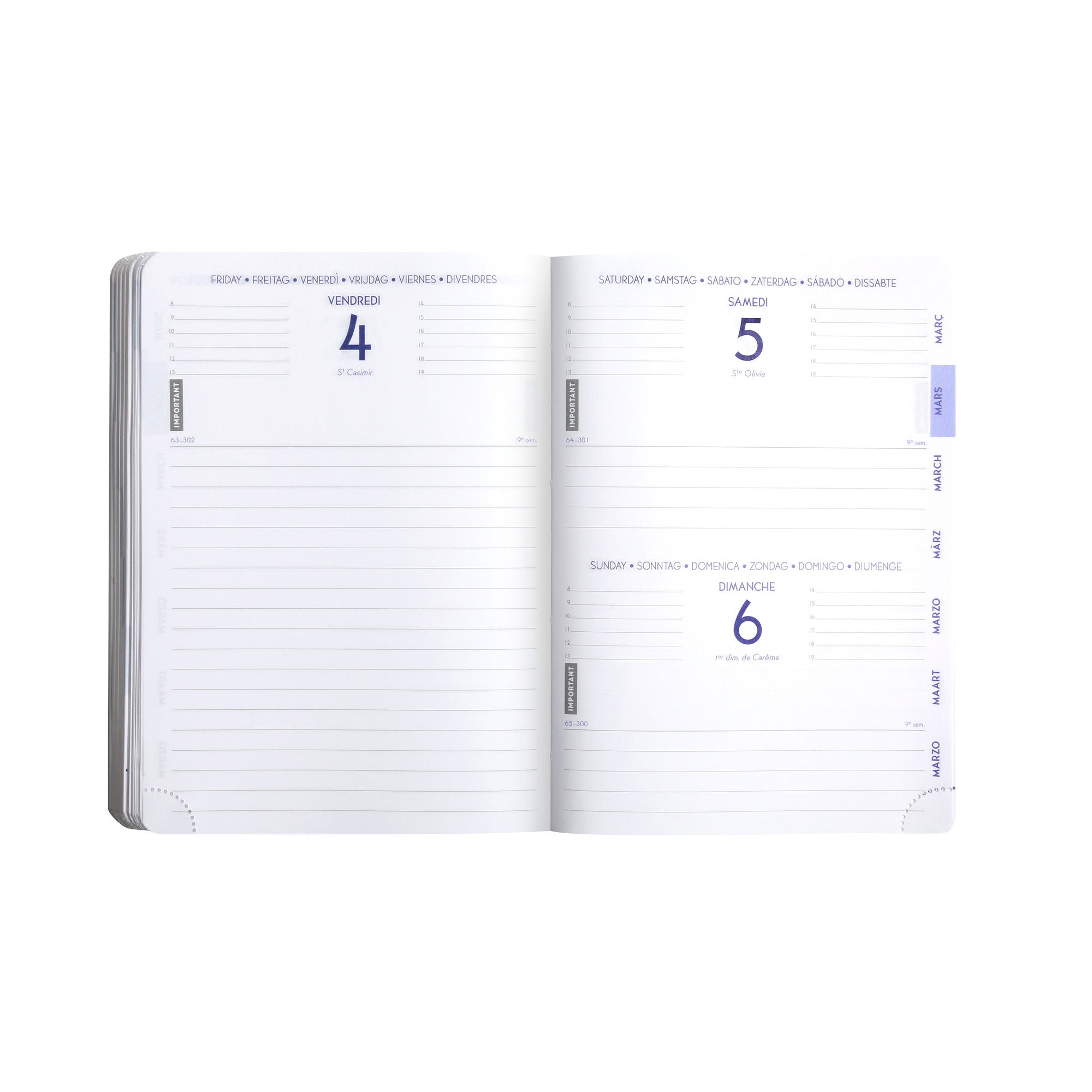 Agenda Scolaire 2024-2025 CLAIREFONTAINE Forum Age Bag - 1 jour par page - 12 x 17 cm - Bleu - 3660942059114