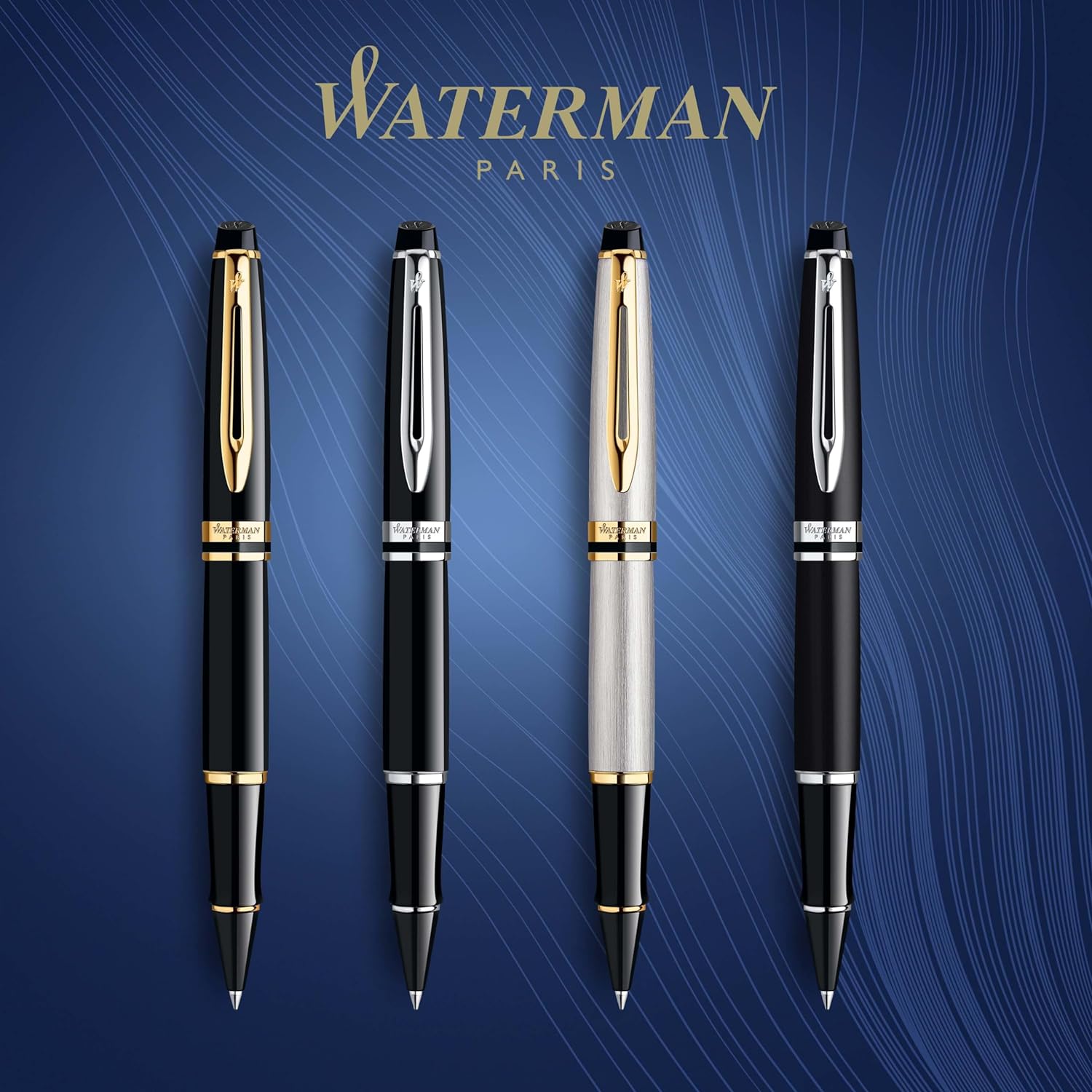 Stylo roller WATERMAN Expert - Acier Métallisé GT - 3501170951989